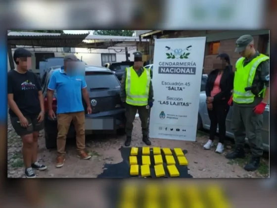 Incautaron más de 15 kilos de Cocaína y hay dos detenidos