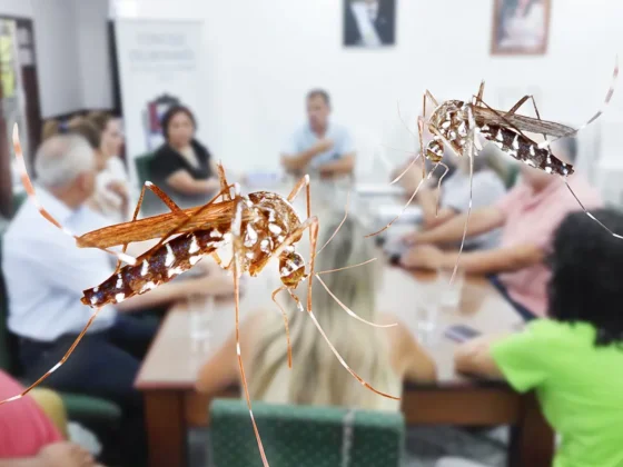 Metán: Preocupación por el veloz aumento de casos de dengue