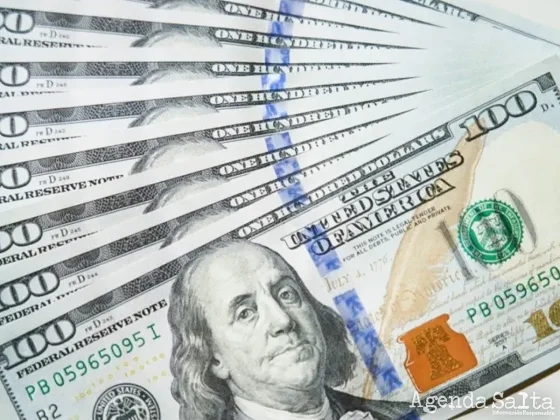 Cuánto tarda la devolución de percepciones de AFIP