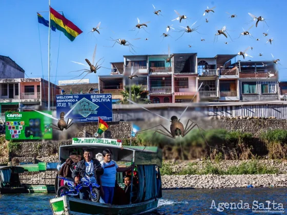 Alerta Dengue: crecen los casos en Bolivia y como consecuencia temen una oleada en el norte salteño