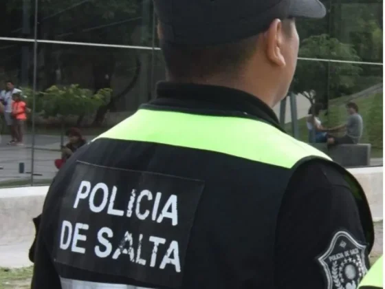 Dos salteños fueron detenidos por robar en un local comercial