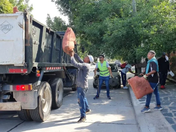 Descacharrado: el operativo se traslada a zona sur