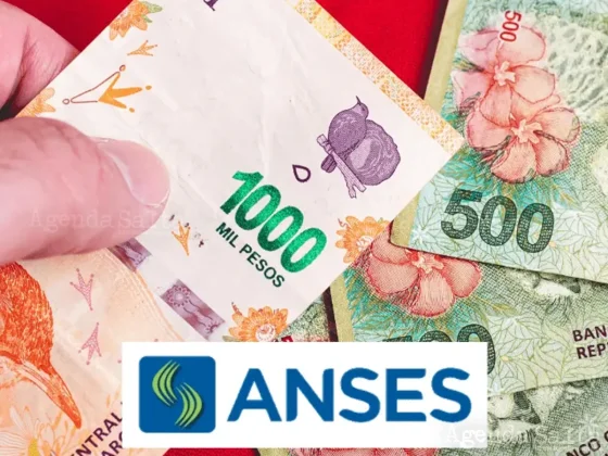 Hasta el 29 de febrero, desempleados pueden cobrar $156.000 en Anses