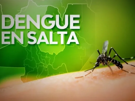En la Provincia se confirmaron más de 800 casos de dengue