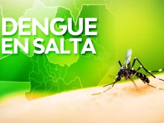 ALERTA: Los casos de dengue se incrementaron casi al doble en la última semana