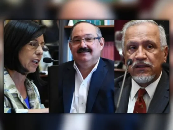 RECHAZO AL DNU: Así votaron los Senadores por Salta