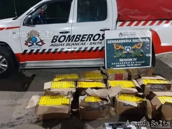 Dos masculinos, uno de ellos armado, transportaban varias cajas que contenían ladrillos prensados de cocaína