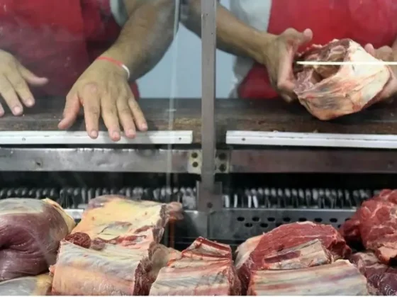 Se desplomó el consumo de carne en los dos primeros meses del año y se ubica en el nivel más bajo en 13 años