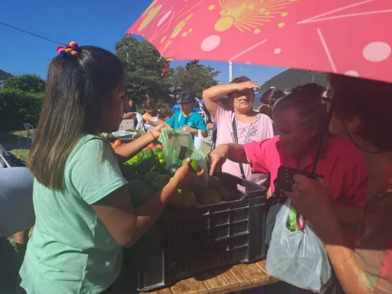 “El mercado en tu barrio” llega a Miguel Ortiz