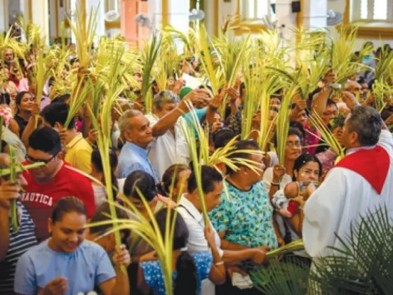 Así serán los horarios  para la misa del Domingo de Ramos