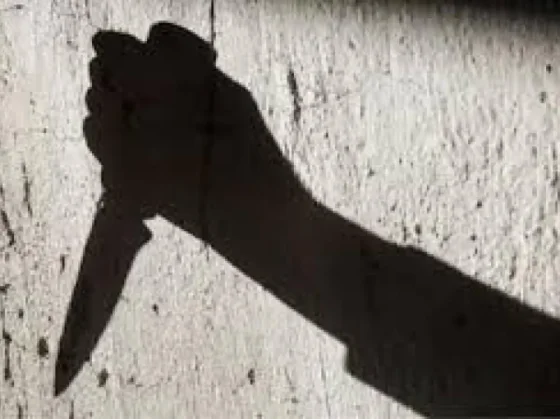 AHORA: Detuvieron a la novia del salteño que fue apuñalado en B° Progreso