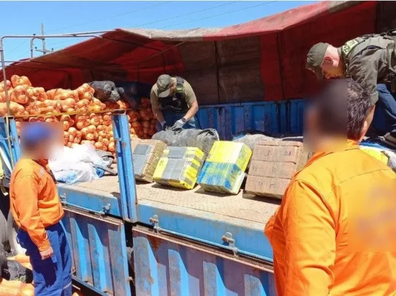 ¡ZAPALLOS DUROS! encontraron 861 kilos de cocaína en un camión que llevaba calabazas