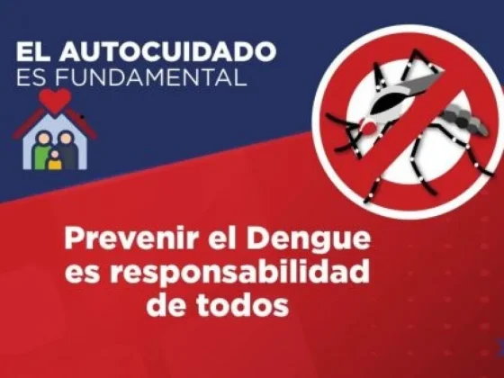 Dengue: ante los signos de alarma concurrir al sistema sanitario