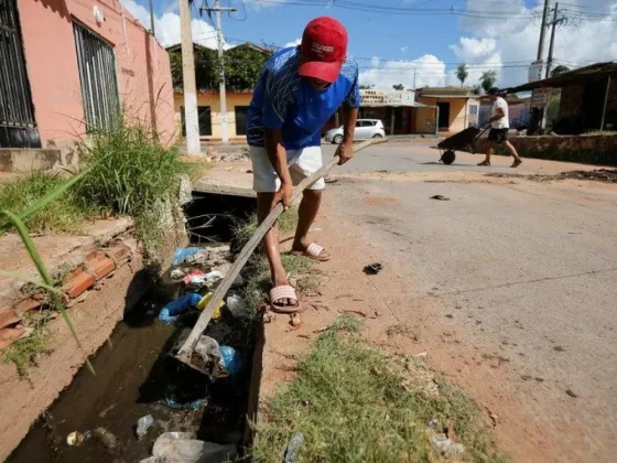 Cambio climático y otras dos razones que explican la epidemia de dengue en Argentina