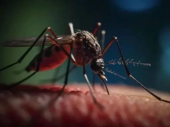 Russo sobre el dengue: “Confunden trabajar con perfil bajo, con inacción”