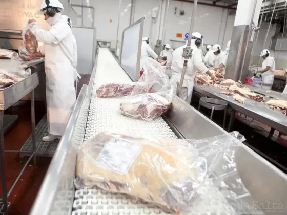 Nuevo mercado para la exportación de carne bovina y ovina Kosher con hueso