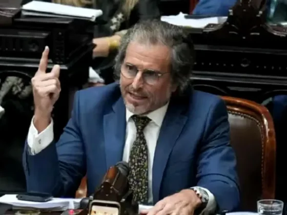 La crítica del diputado Benegas Lynch a la educación obligatoria: “Podes necesitar a tu hijo en el taller”