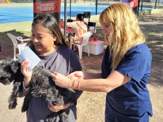 Salud Animal: esta semana se atiende en Calixto Gauna y Villas Chartas