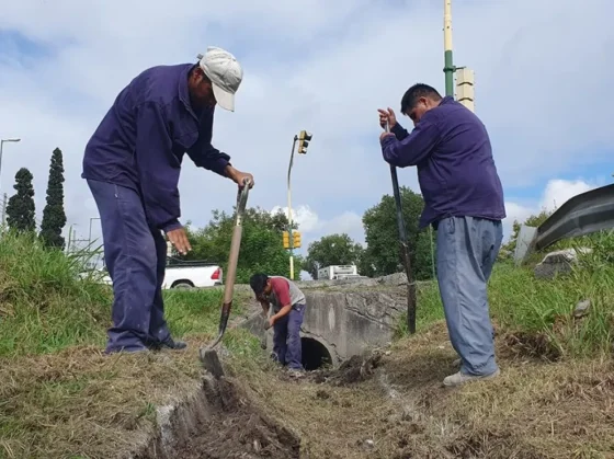 Continúa la limpieza del desagüe pluvial colindante a la Avenida Tavella