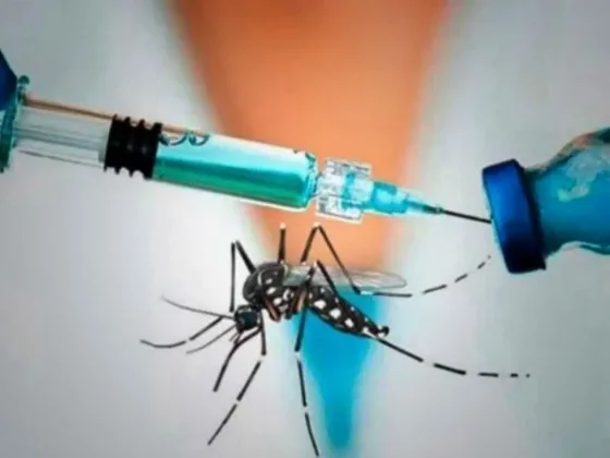 Vacuna contra el dengue: qué dicen los infectólogos sobre la efectividad en mayores de 60 años