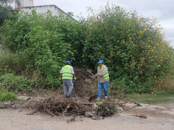 La Municipalidad continúa saneando baldíos en mal estado