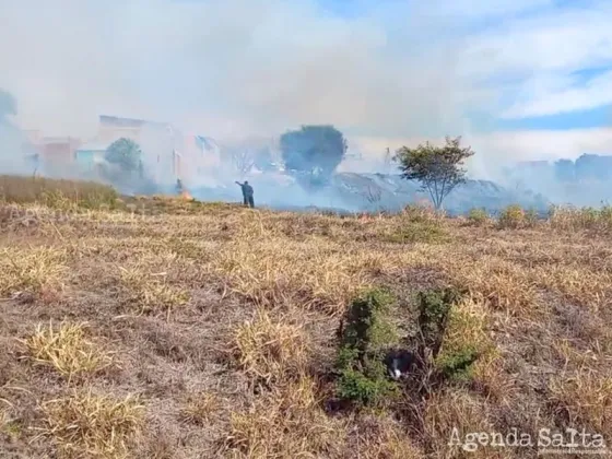 Recomiendan circular con precaución por la zona