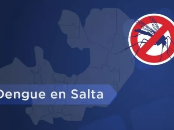 En la última semana se notificaron más de 1900 casos de dengue en Salta