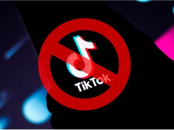 Chaco: una nena de 11 años murió tras sufrir quemaduras en un peligroso “reto viral” de TikTok