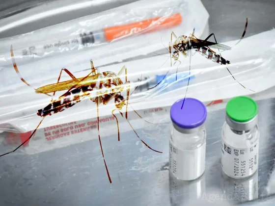 A partir de mayo comienza la vacunación contra el dengue en Salta Capital