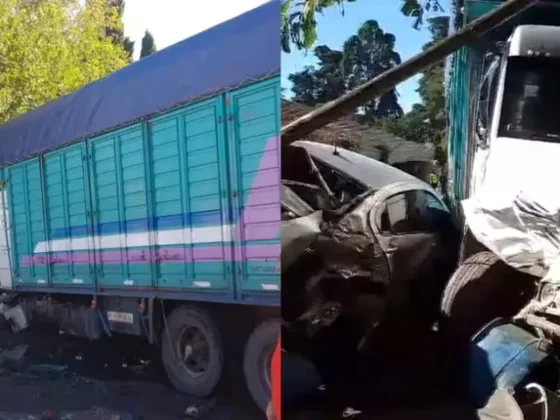 Un camión se cruzó de carril en la Ruta 2 y se incrustó en una parrilla: una persona murió y hay un herido