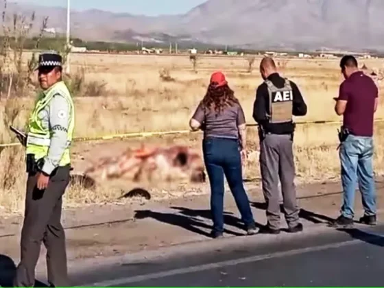 HORROR: encontraron 8 cadáveres apilados al costado de la autopista con un terrorífico mensaje narco