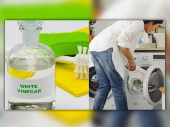 El truco del vinagre para que la ropa salga con el mejor olor de la lavadora