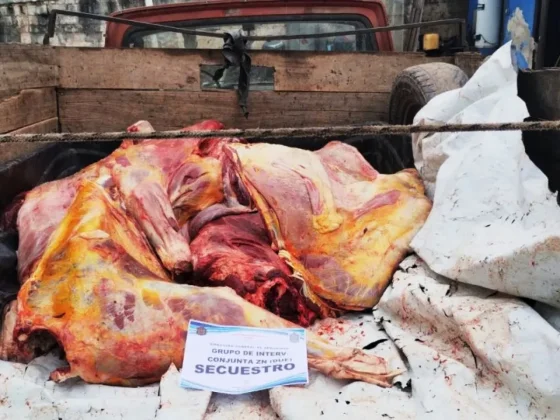 La Policía decomisó 300 kilos de carne no apta para el consumo humano