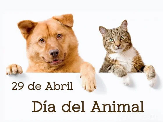 Día del Animal ¿por qué se celebra hoy en Argentina?
