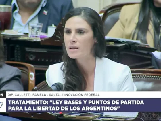 Ley de Bases: Pamela Calletti pidió que se trate la modificación del impuesto al tabaco