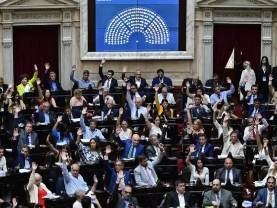 LEY DE BASES: Conocé como votaron los representantes salteños en el Congreso de la Nación