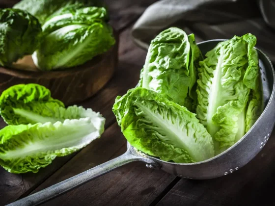 Paso a paso, cómo se prepara el agua de lechuga que ayuda a dormir