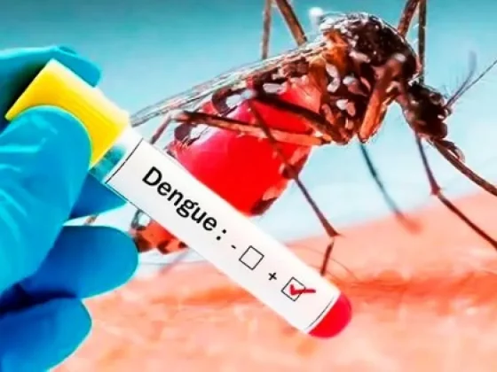 Ya son 22 mil los casos confirmados de dengue en la provincia