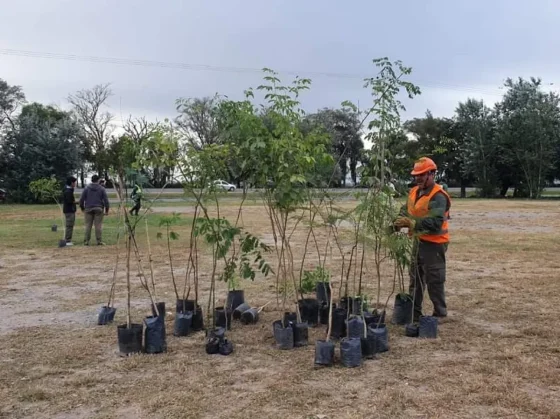 Limache: Vecinos buscan recuperar una plaza que hoy se usa como aguantadero