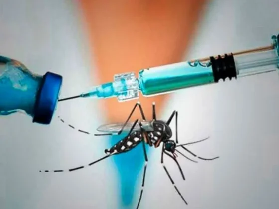El Gobierno incorporará la vacunación contra el dengue
