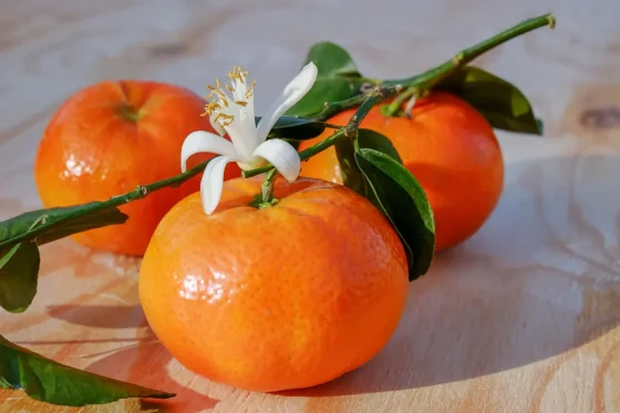 Para qué sirve realmente la flor de azahar que abunda en todos lados  