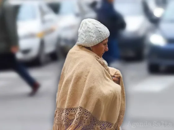 Advierten que podría caer nieve en Salta como en el 2010