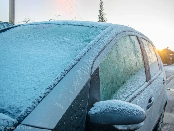Cayó la primera helada del año en Salta: - 3° de térmica