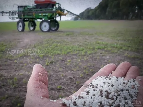 Por la supuesta falta de fertilizantes para el campo se habla de perdidas que podrían llegar a USD 1.800 millones