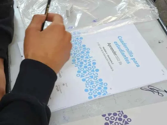 Pruebas Aprender 2023: Los resultados muestran desmejoras en el desempeño estudiantil