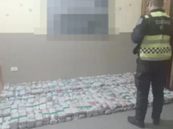 La policía secuestró 180 kilos de hojas de coca valuada en 4 millones de pesos
