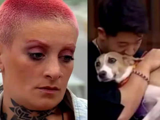 Furia intentó provocar a Martín Ku y casi golpea al perro Arturo: el video