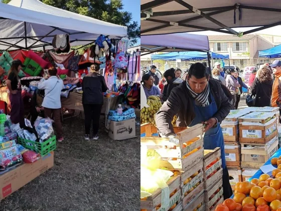 Feria y espectáculos imperdibles este viernes para los salteños en el estadio Delmi