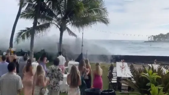 Una ola gigante barrió un casamiento en Hawaii