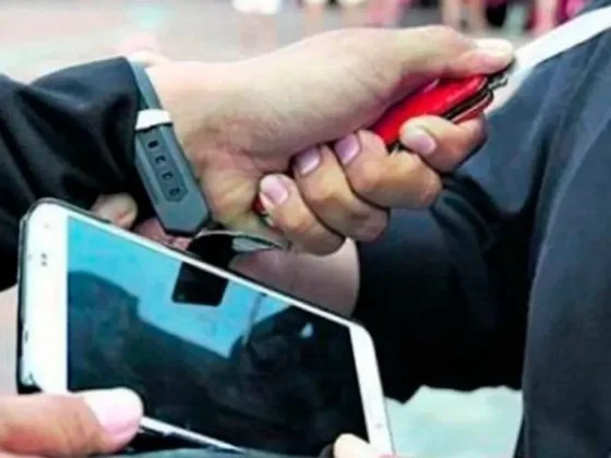 Salteño violentó y robó el celular a una jovencita